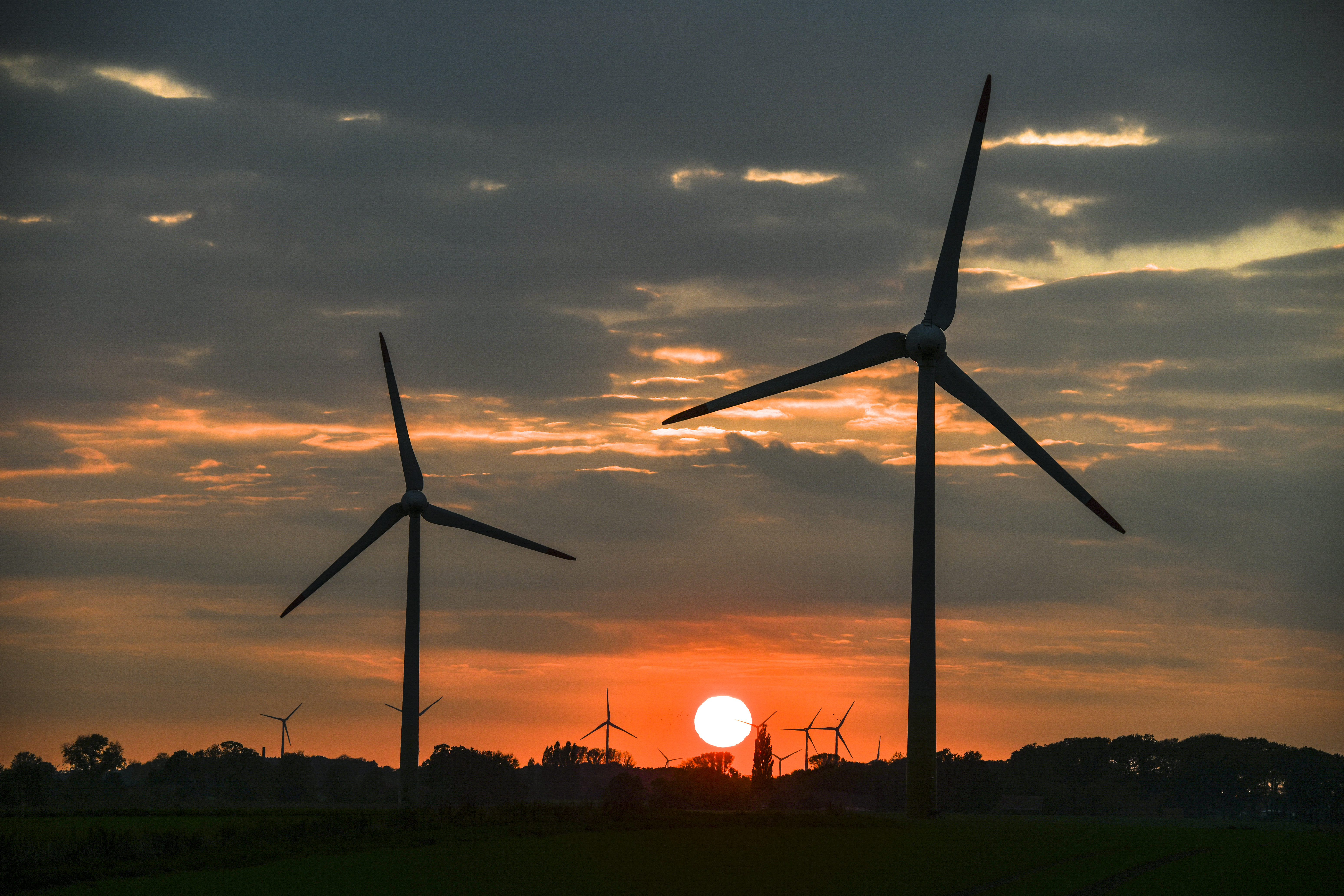 Windräder am Horizont beim Sonnenuntergang